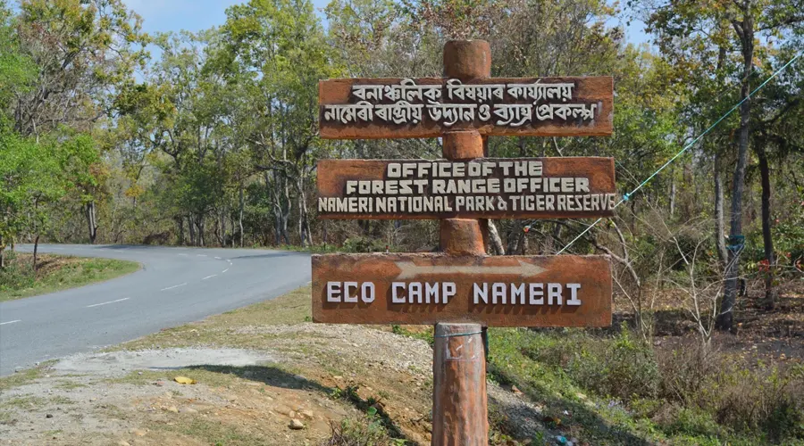 Camping And Forest Trek At Nameri National Park